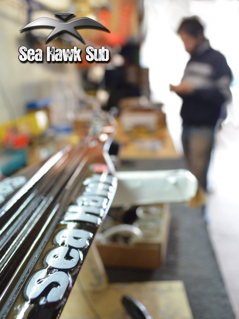 seahawksub Spearfishing  pescasub