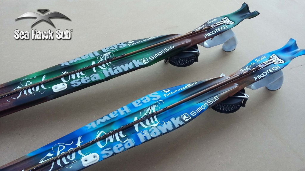 seahawksub Spearfishing  pescasub 0001_sei