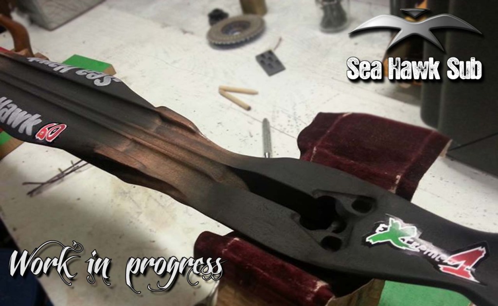 seahawksub Spearfishing  pescasub 015