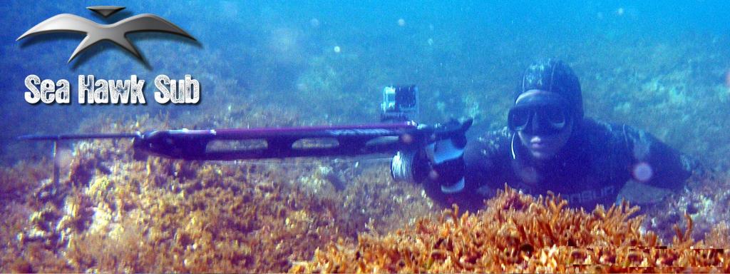 seahawksub Spearfishing  pescasub  033