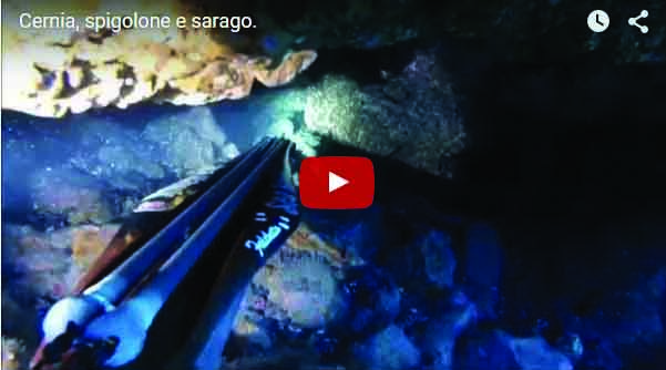 Seahawksub Sperarfishing pescasub Fabiano_001