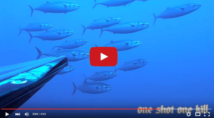 Seahawksub Sperarfishing pescasub Seiello 13 killer