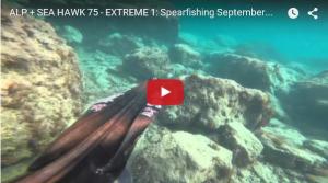 Seahawksub Sperarfishing pescasub Alp_003 cernia