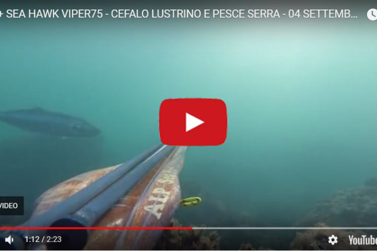 Alp017 (serra lustrino) spearfishing spergun seahawksub