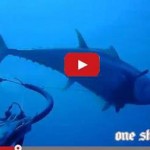 Extreme1.5  90 - immagine 18