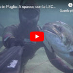 Pescasub in Puglia: A spasso con la LECCIA AMIA di 15 kg